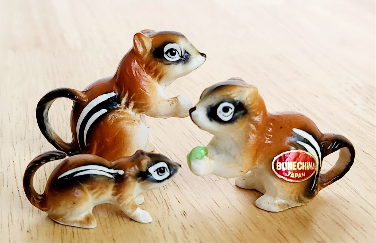 🐿️ 오호츠크 다람쥐 공원(오호츠크 시마리스 코엔) 이미지 5